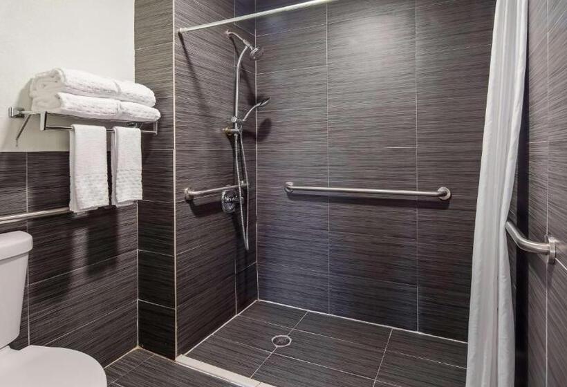 身障者適用スイートルーム, Best Western Webster/nasa