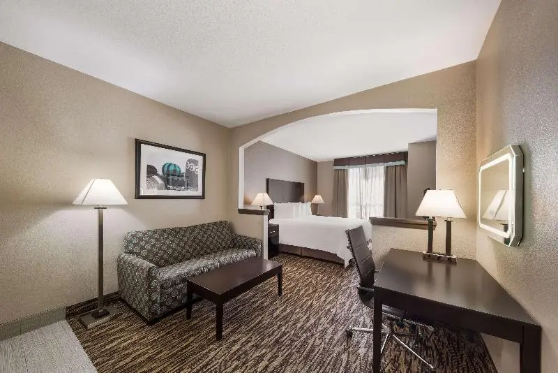 سوئیت با تخت بزرگ, Comfort Suites Plano East Richardson