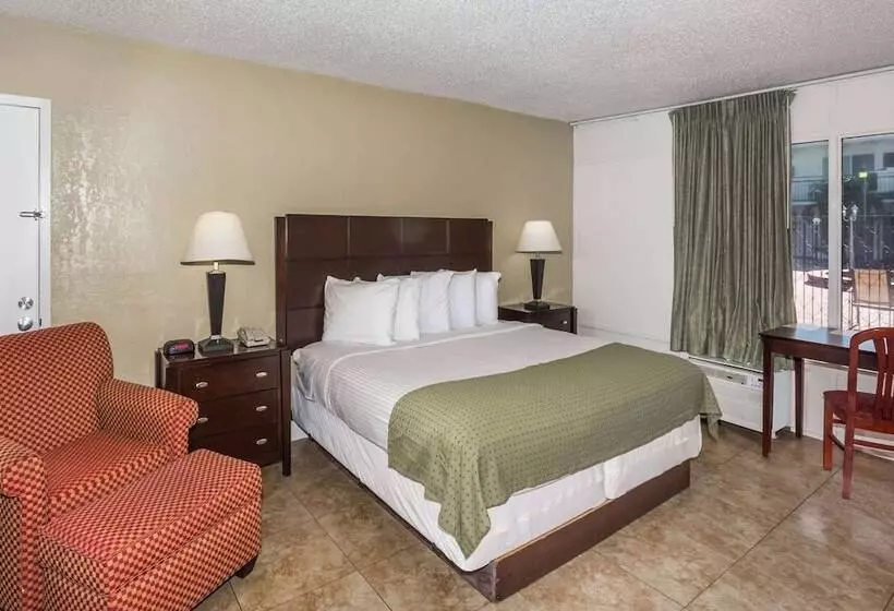 ダブルベッドスタンダードルーム, Days Inn By Wyndham St. Petersburg / Tampa Bay Area