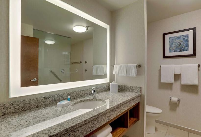 جناح لذوى الاحتياجات الخاصة, Drury Plaza Hotel Orlando   Disney Springs Area