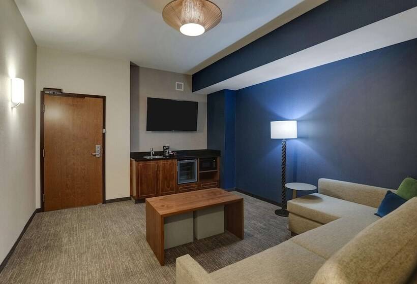Люкс Адаптированный для Инвалидов, Drury Plaza Hotel Orlando   Disney Springs Area