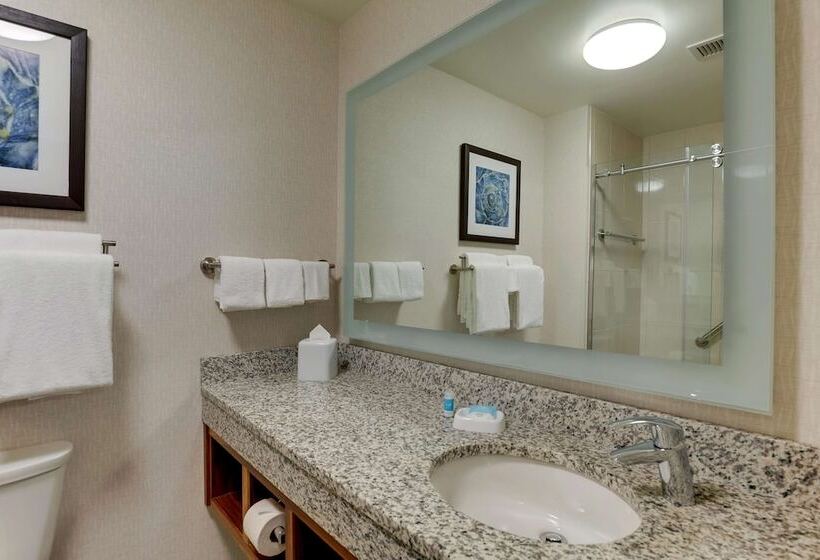 جناح لذوى الاحتياجات الخاصة, Drury Plaza Hotel Orlando   Disney Springs Area