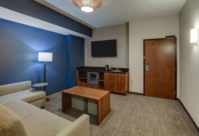 Люкс Адаптированный для Инвалидов, Drury Plaza Hotel Orlando   Disney Springs Area