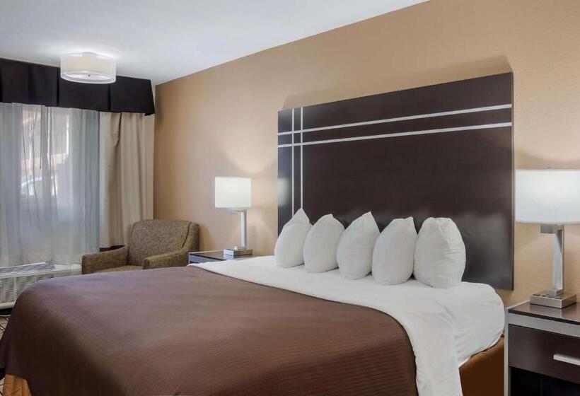 带大床的标准间, Best Western Nursanickel