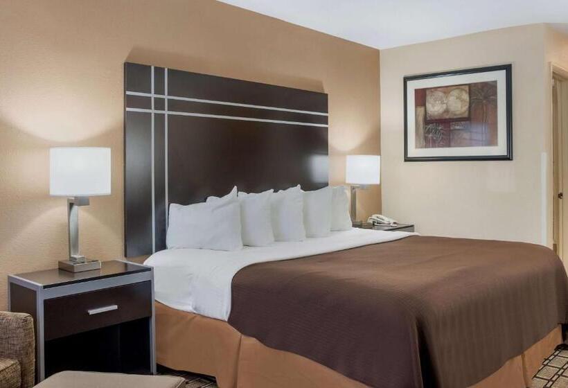 חדר סטנדרט עם מיטת קינג, Best Western Nursanickel