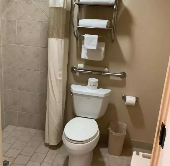 身障者適用キングサイズベッドルーム, Best Western Nursanickel