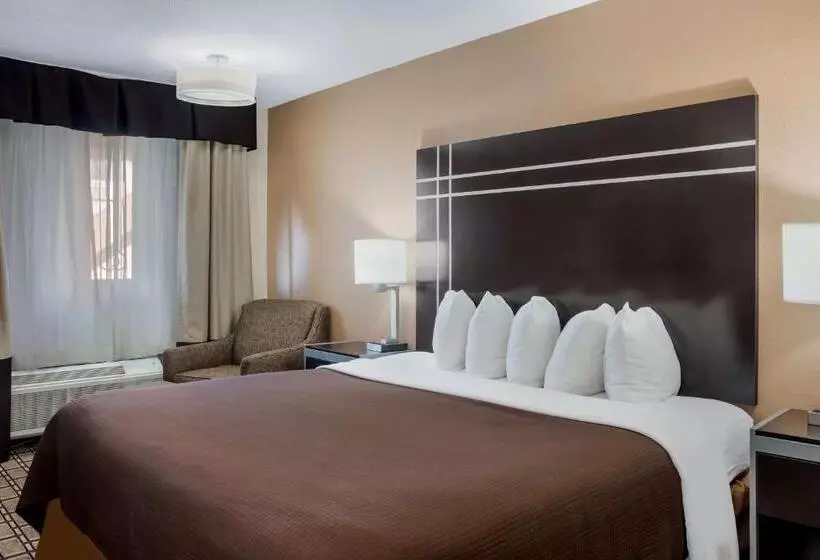 身障者適用キングサイズベッドルーム, Best Western Nursanickel