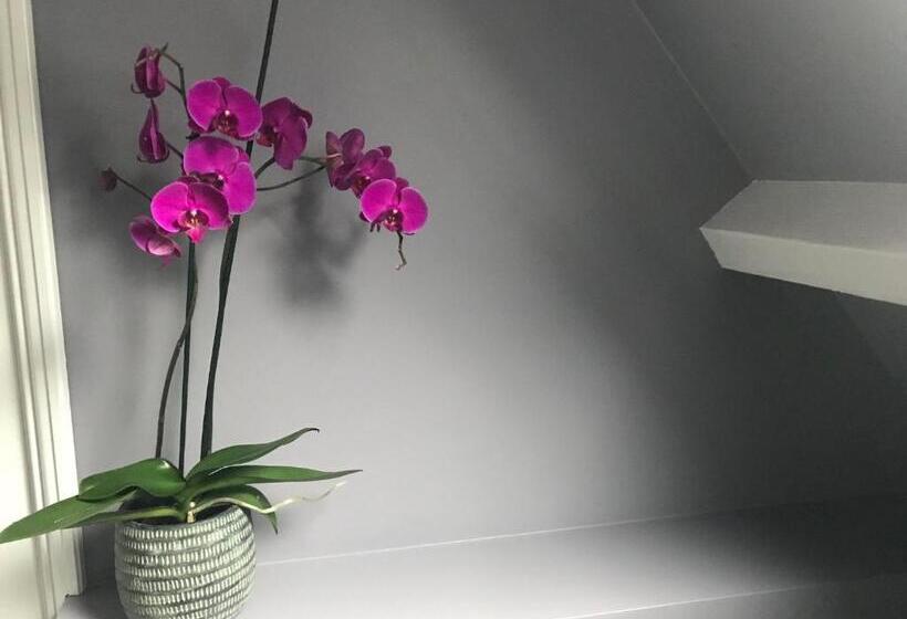 غرفة سوبيريور رباعية, Bed And Breakfast The Rose