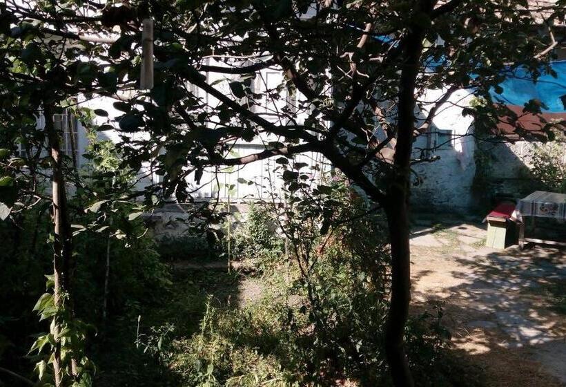 اتاق خانوادگی, Guesthouse Ilisu