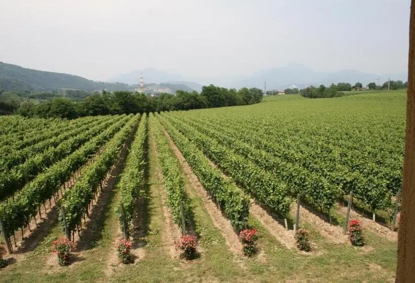 Standard Yhden Hengen Huone, Agriturismo Ripa Del Bosco