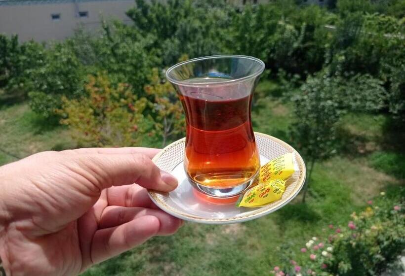 اتاق خانوادگی, Bizim Ev Hostel