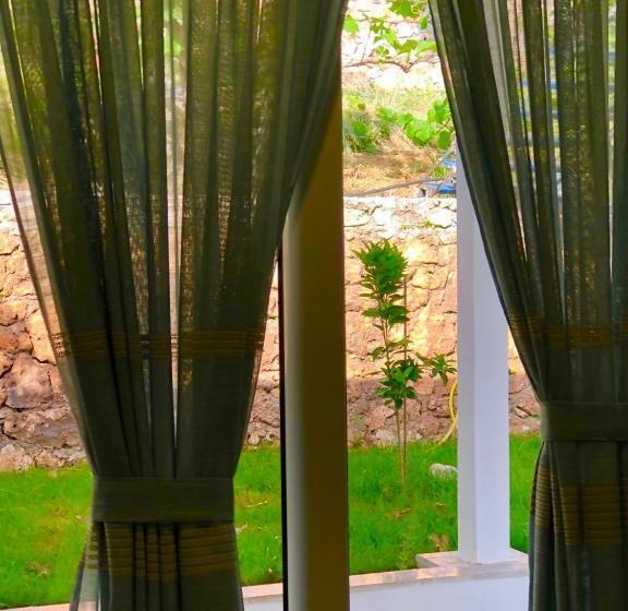 اتاق استاندارد سه نفره, Aphrodite S Garden