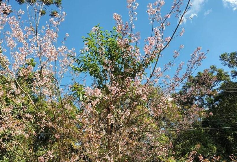 Номер Стандарт, Pousada Toque De Minas