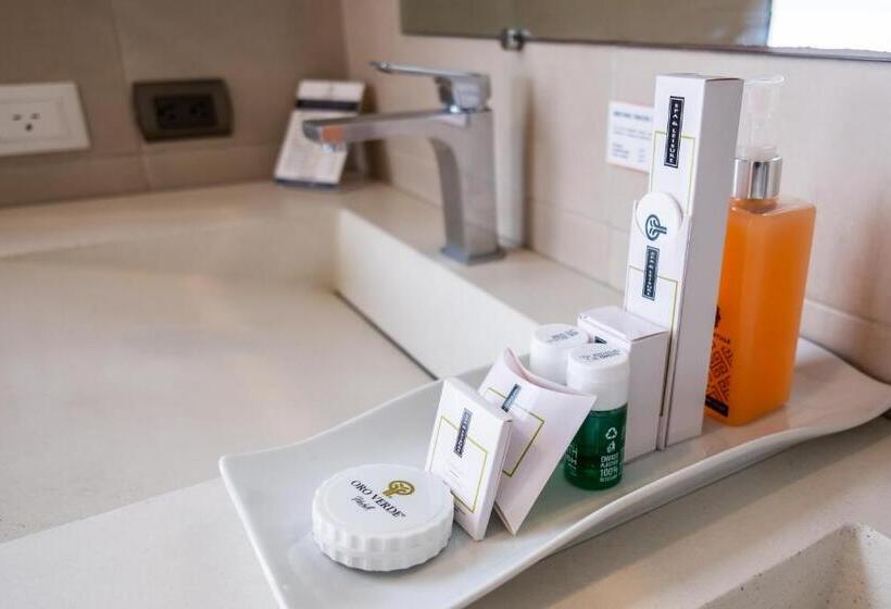 اتاق سوپریور, Reec Machala By Oro Verde Hotels