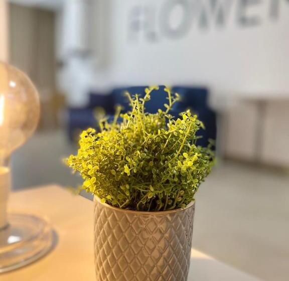 استودیوی سوپریور, Beeapartments