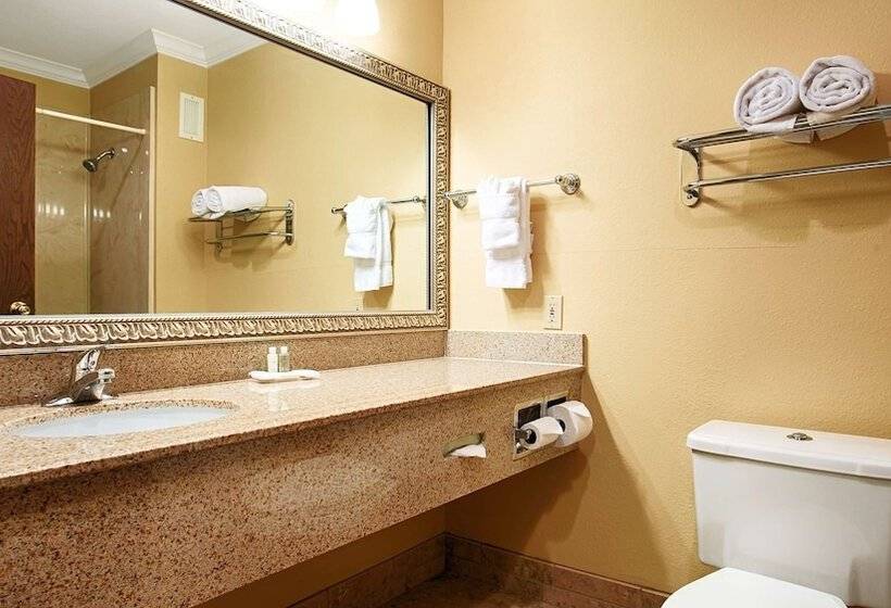 Люкс, Best Western Plus Southpark Inn & Suites