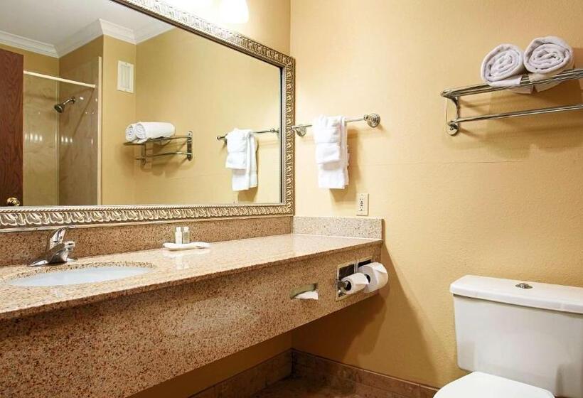 キングサイズベッドのスタンダードルーム, Best Western Plus Southpark Inn & Suites