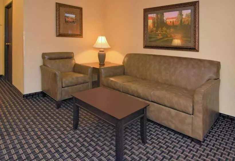اتاق استاندارد با تخت بزرگ, Best Western Plus Southpark Inn & Suites