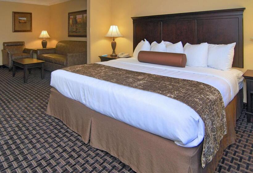 キングサイズベッドのスタンダードルーム, Best Western Plus Southpark Inn & Suites