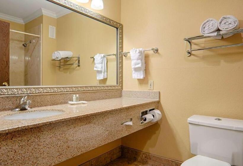 غرفة قياسية سرير كينج لذوى الإحتياجات الخاصة, Best Western Plus Southpark Inn & Suites