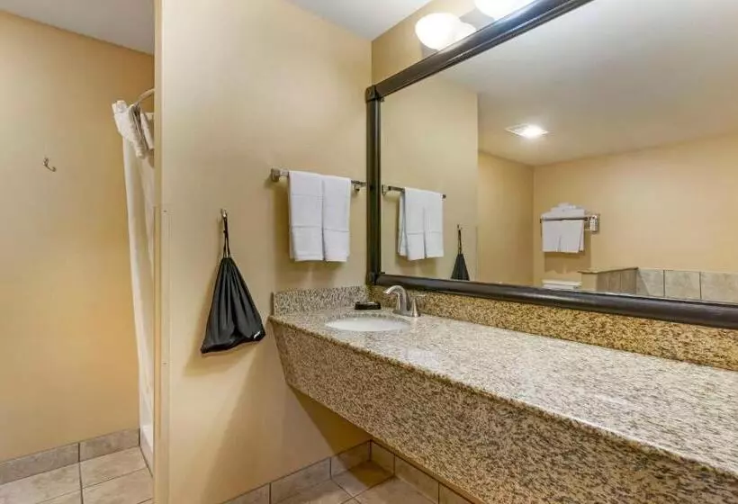 Sviitti King-vuode, Best Western Plus The Inn At Horse Heaven