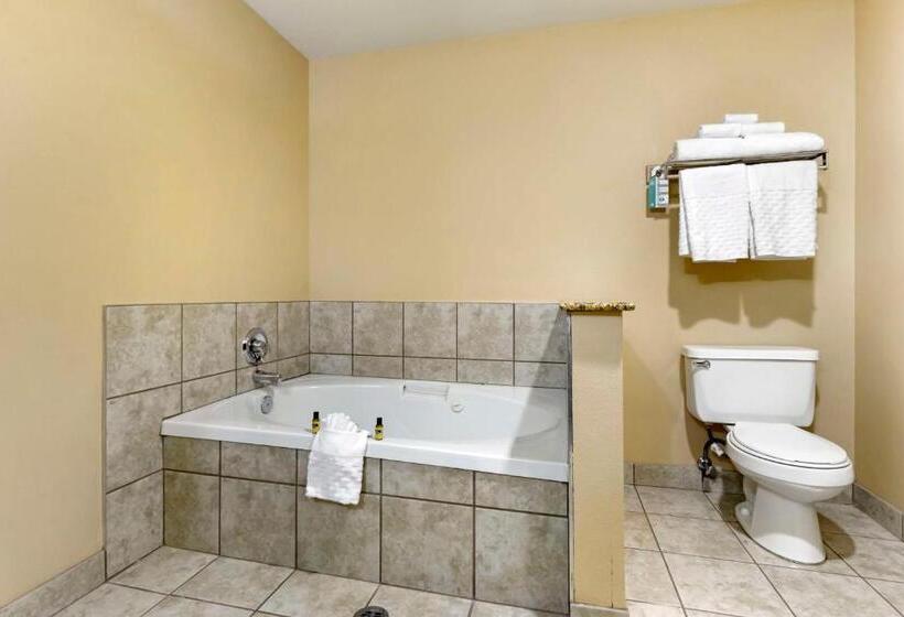 جناح سرير كينج, Best Western Plus The Inn At Horse Heaven