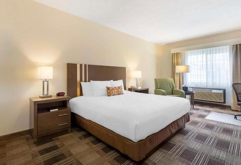 غرفة قياسية سرير كينج, Best Western Plus The Inn At Horse Heaven