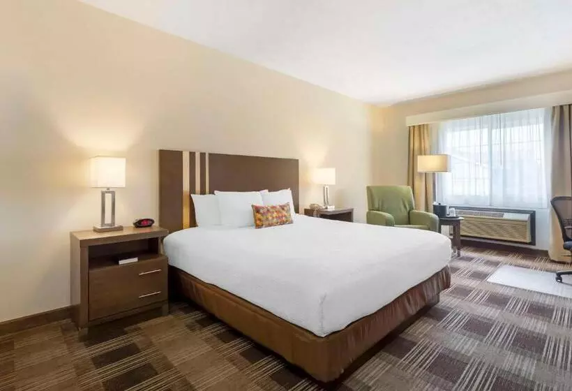 Standard-huone King-vuode, Best Western Plus The Inn At Horse Heaven