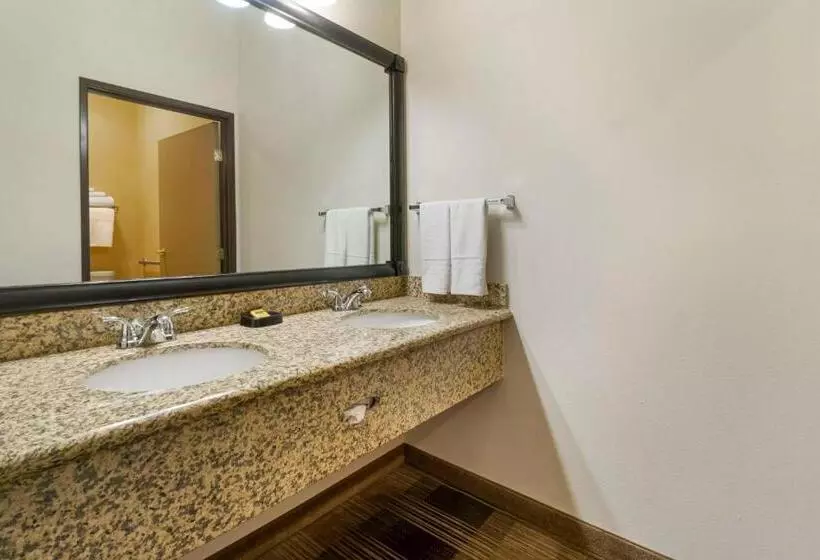 Sviitti King-vuode, Best Western Plus The Inn At Horse Heaven