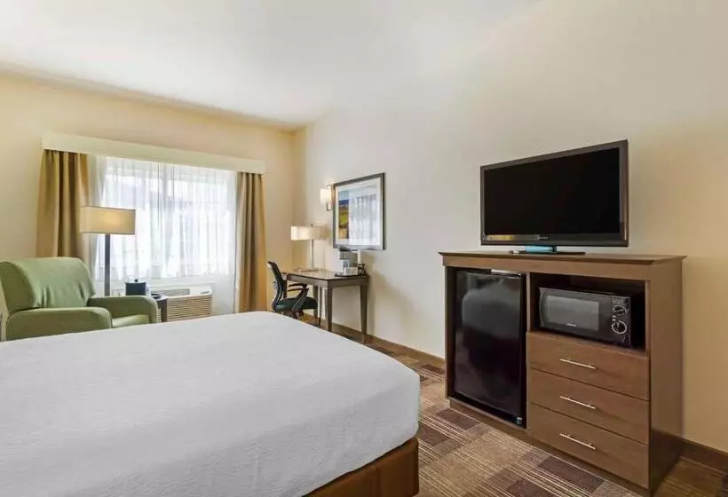 Standard-invahuone, Best Western Plus The Inn At Horse Heaven