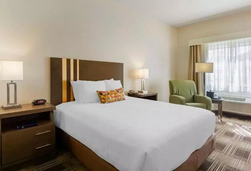 Standard-invahuone, Best Western Plus The Inn At Horse Heaven