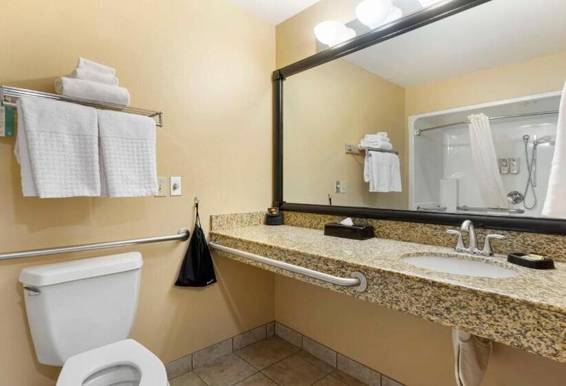 غرفة قياسية سرير كينج لذوى الإحتياجات الخاصة, Best Western Plus The Inn At Horse Heaven