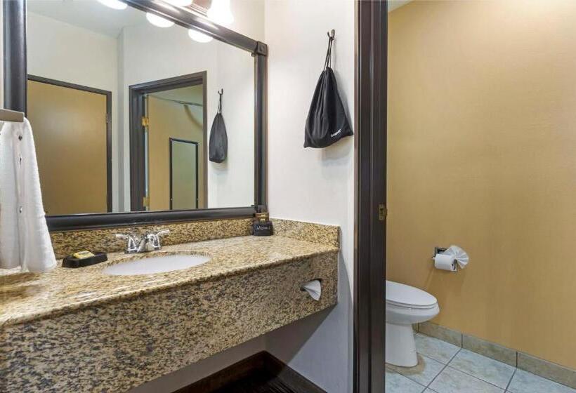 غرفة قياسية, Best Western Plus The Inn At Horse Heaven