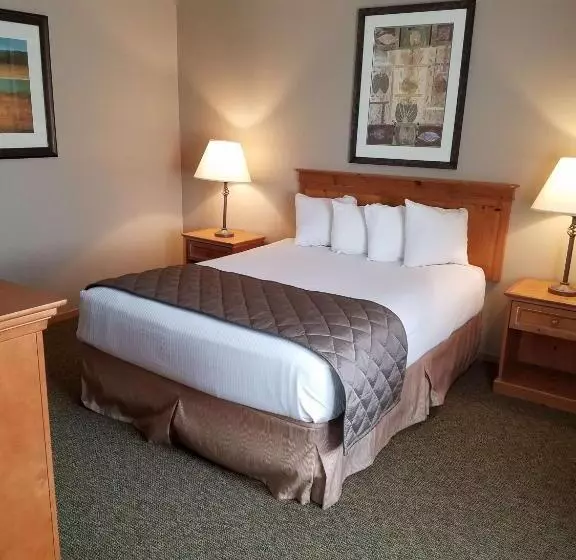 身障者適用キングサイズベッドルーム, Best Western Rory & Ryan Inns