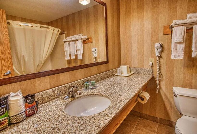 장애인을 위한 킹사이즈 침대 스탠다드 룸, Best Western Rory & Ryan Inns