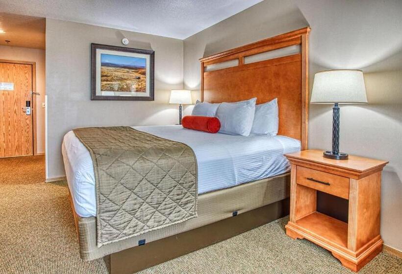 スイート, Best Western Rory & Ryan Inns