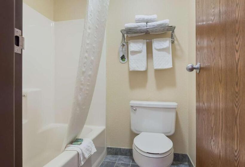 Номер Стандарт 2 Двуспальные Кровати, Best Western U. S. Inn