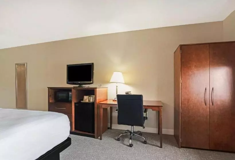 Standard-huone King-vuode, Best Western U. S. Inn