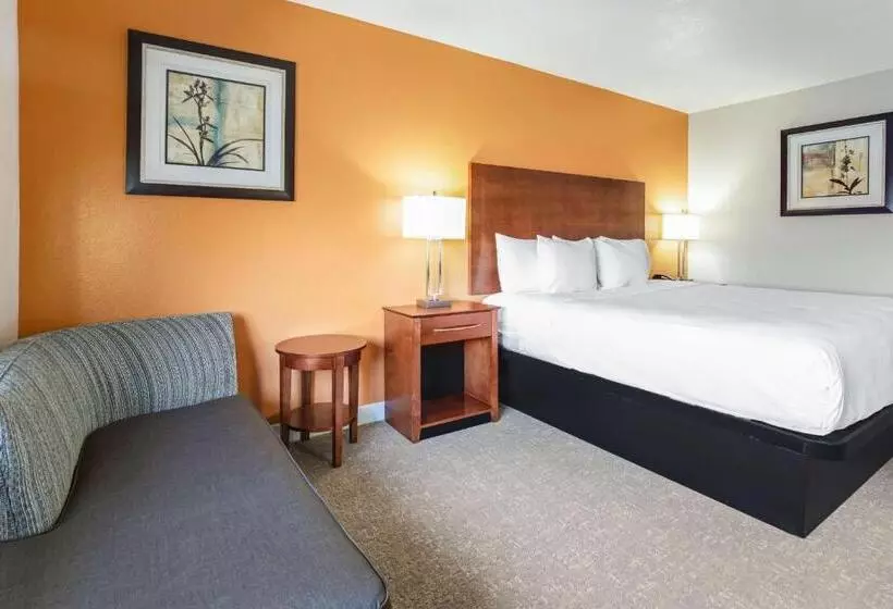 Standard-huone King-vuode, Best Western U. S. Inn