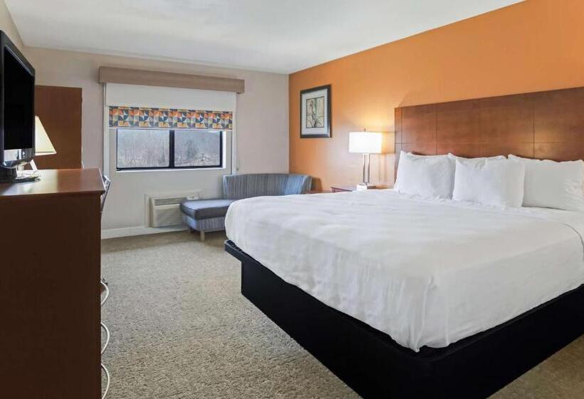 Стандартный Номер Кровать Кинг, Best Western U. S. Inn