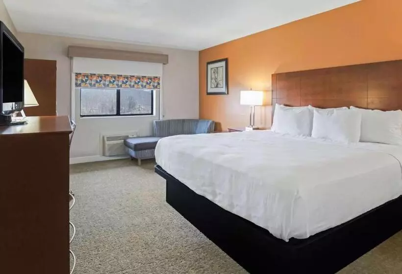 Standard-huone King-vuode, Best Western U. S. Inn