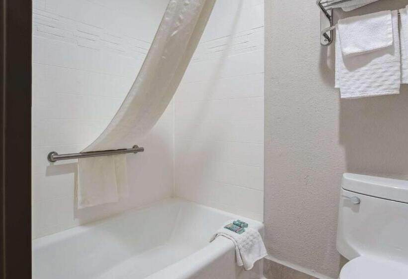 Номер Стандарт 2 Двуспальные Кровати, Best Western U. S. Inn