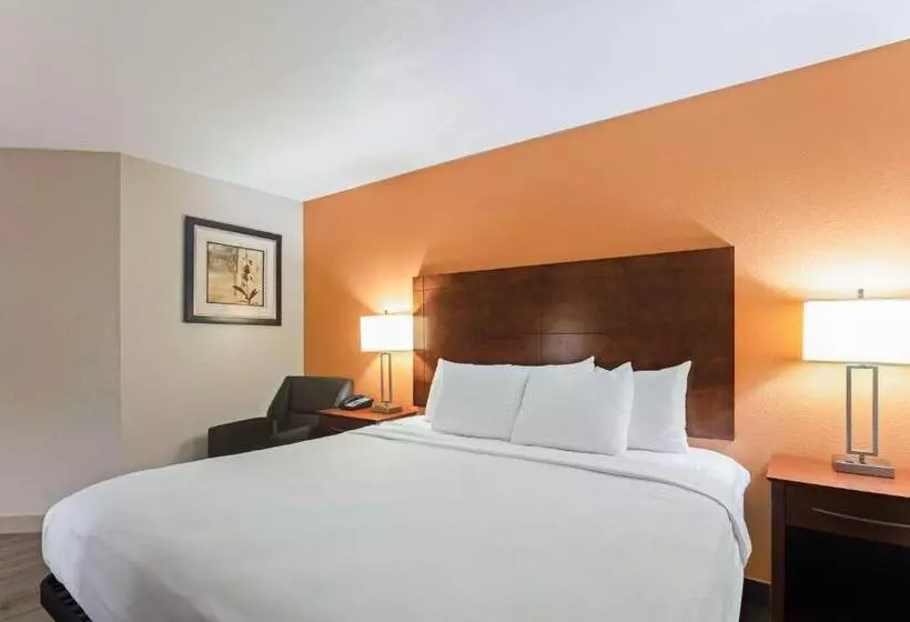 Standard-invahuone King-vuode, Best Western U. S. Inn
