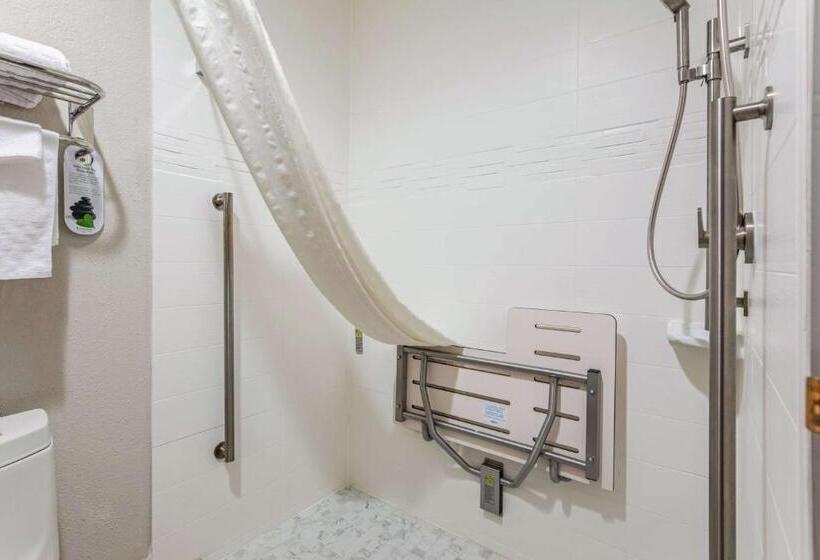 Стандартный Номер Кровать Кинг, Best Western U. S. Inn