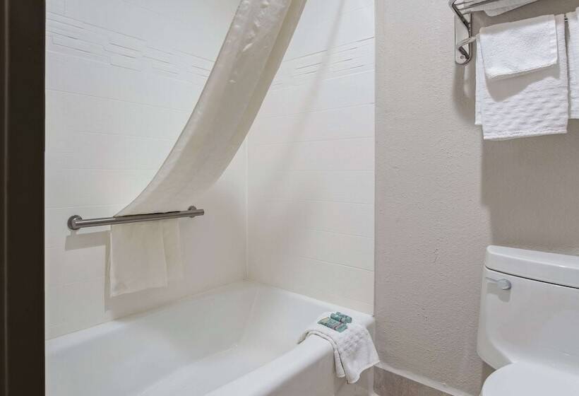 Номер Стандарт 2 Двуспальные Кровати, Best Western U. S. Inn