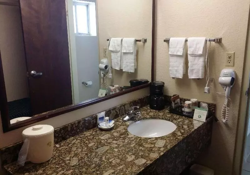 Standard-huone, Best Western Winners Circle