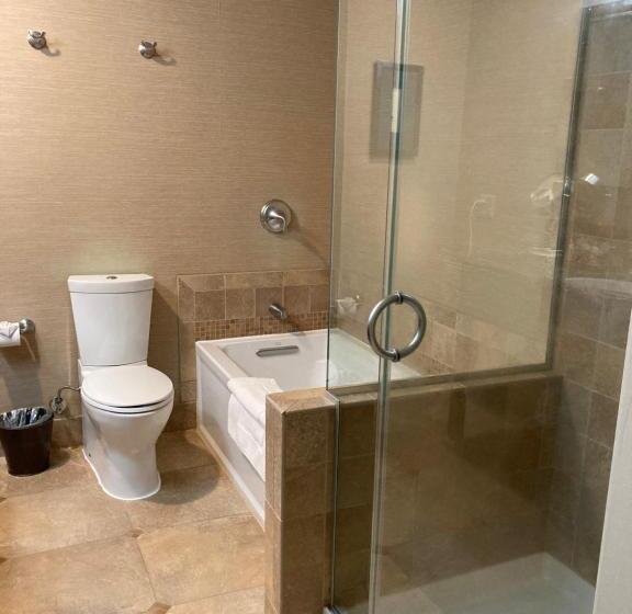 스탠다드 룸 킹사이즈 침대, Blue Dolphin Inn