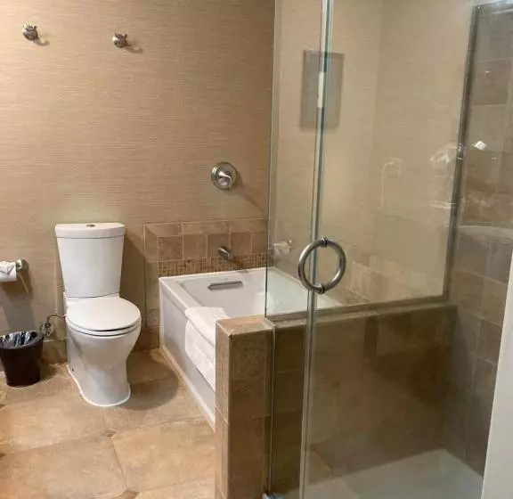 اتاق استاندارد با تخت بزرگ, Blue Dolphin Inn