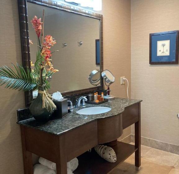 스탠다드 룸 킹사이즈 침대, Blue Dolphin Inn