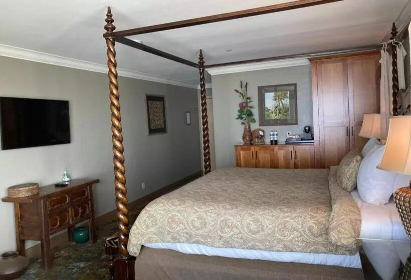 اتاق استاندارد با تخت بزرگ, Blue Dolphin Inn